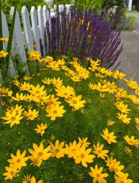 The Hazelhouse Bed & Breakfast Chilliwack Luaran gambar