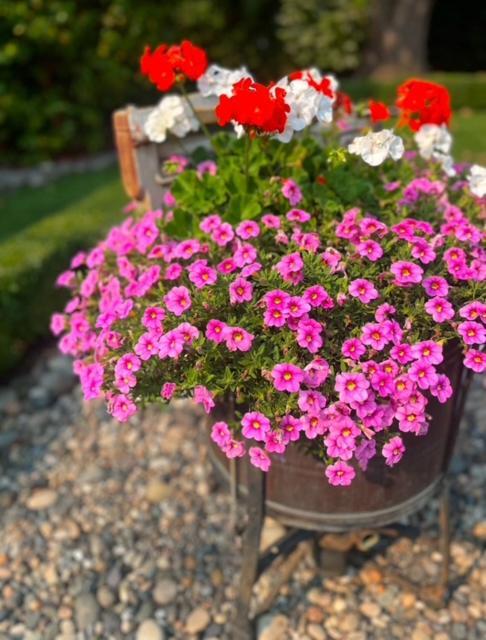 The Hazelhouse Bed & Breakfast Chilliwack Luaran gambar
