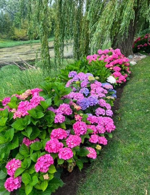 The Hazelhouse Bed & Breakfast Chilliwack Luaran gambar