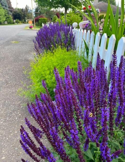 The Hazelhouse Bed & Breakfast Chilliwack Luaran gambar